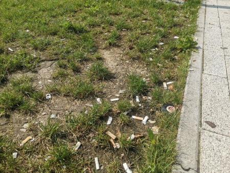 content_cigaretni ogorki2